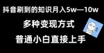 抖音刷到的知识，每天只需2小时，日入2000+，暴力变现，普通小白直接上手【揭秘】-网创指引人