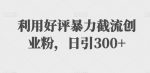 利用好评暴力截流创业粉,日引300+-网创指引人