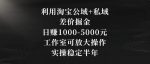 利用淘宝公域+私域差价掘金,日赚1000-5000元,工作室可放大操作,实操稳定半年【揭秘】-网创指引人