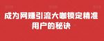 成为网赚引流大咖锁定精准用户的秘诀-网创指引人