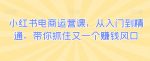 小红书电商运营课，从入门到精通，带你抓住又一个赚钱风口-网创指引人