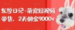 东哲日记·萌宠短视频带货,2天佣金9000+-网创指引人