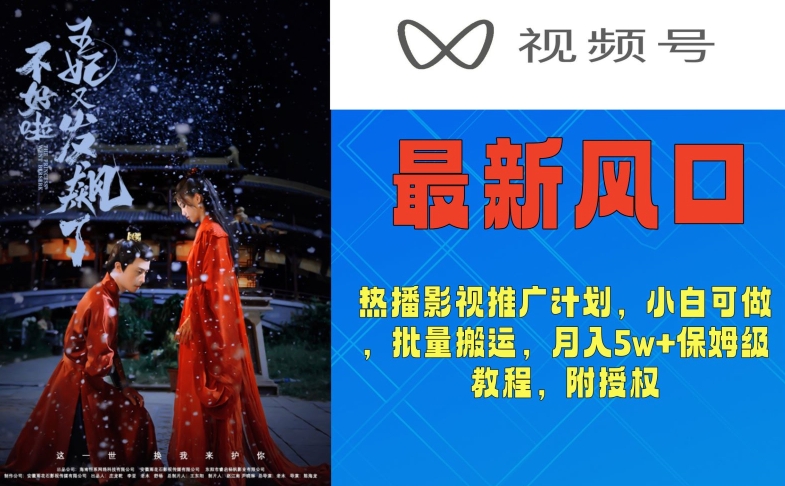 视频号最新风口,热播影视推广计划,小白可做,批量搬运,月入5w+保姆级教程,附授权