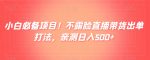小白必备项目！不露脸直播带货出单打法，亲测日入500+-网创指引人