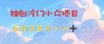 独创冷门小众项目,有钱人的最爱,暴力变现,制作简单,月入10W+-网创指引人