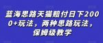 蓝海思路天猫赔付日下2000+玩法,两种思路玩法,保姆级教学【仅揭秘】-网创指引人