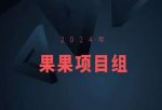 2024年果果项目组项目合集-果果最新项目-网创指引人