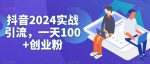 抖音2024实战引流，一天100+创业粉-网创指引人