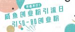 咸鱼创业粉引流日引50-80创业粉【揭秘】-网创指引人