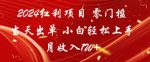 2024红利项目，零门槛当天出单，小白轻松上手，月收入1W+-网创指引人