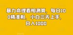 暴力命理看相测算,每日100精准粉,小白三天上手,日入1000-网创指引人