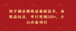 快手掘金撸收益最新技术，高收益玩法，单日变现500+，小白必备项目-网创指引人