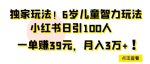 独家玩法,6岁儿童智力玩法,小红书日引100人-网创指引人
