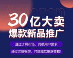 亚马逊·30亿大卖爆款新品推广,可复制、全程案例实操的爆款推新SOP-网创指引人