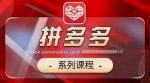 2024拼多多系列课,【基础】【运营】【活动】【推广】【玩法】5大模块-网创指引人