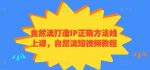 自然流打造IP正确方法线上课,自然流短视频教程-网创指引人