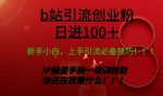 日引创业粉 100+ b 站全套打法【实操教学】不容错过-网创指引人