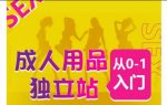 成人用品独立站从0-1入门，成品独立站运营全流程教学，七大好卖成品独立站推荐-网创指引人