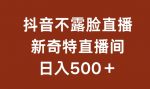 不露脸挂机直播，新奇特直播间，日入500+【揭秘】-网创指引人