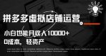拼多多虚拟店铺运营小白也能月收入10000+【揭秘】-网创指引人