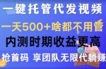 一键托管代发视频,一天500+啥都不用管,内测时期收益更高,抢首码,享团队无限代躺赚-网创指引人