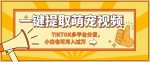 一键智能提取tiktok萌宠视频,多平台分发,小白也可月入过W-网创指引人