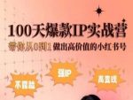 小红书100天爆款IP实战营,带你从0到1做出高价值的小红书号-网创指引人