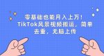 零基础也能月入上w,TikTok风景视频搬运,简单去重,无脑上传【揭秘】-网创指引人