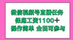 微信视频号直播任务，保底工资1100+，全民可参与-网创指引人