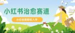 小红书涨粉 4W+, 小白也能批量复制的治愈文案-网创指引人
