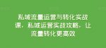 私域流量运营与转化实战课,私域运营实战攻略,让流量转化更高效-网创指引人
