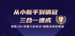 从小新手到销冠 三合一速成：销售3法+非暴力关单法+销售系统挖需课 (27节)-网创指引人