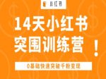 14天小红书突围训练营 ,0基础快速突破千粉变现-网创指引人