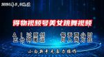 2024年得物新平台，搬运美女跳舞短视频撸金3.0玩法，操作简单，小白宝妈轻松上手-网创指引人