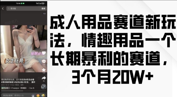 成人用品赛道新玩法,情趣用品一个长期暴利的赛道,3个月收益20个【揭秘】-网创指引人